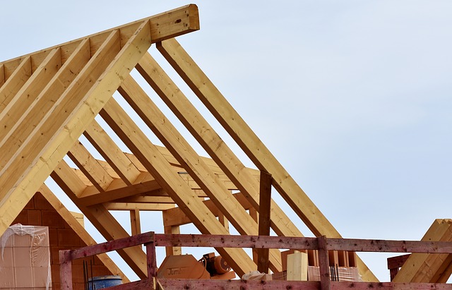 drewniane domy budowane są popularne