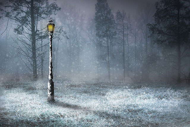 Oświetlenie zewnętrzne – na co zwrócić uwagę, szukając lamp do ogrodu?