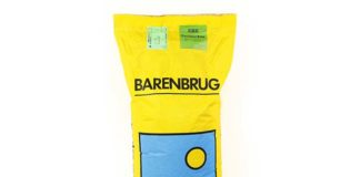 Trawa Barenbrug – czyli jak kupić nasiona na trawnik wysokiej jakości