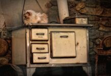 Czy w kozie można palić drewnem sosnowym?