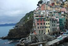 Co posadzić na małej skarpie? Co posadzić na małej skarpie?