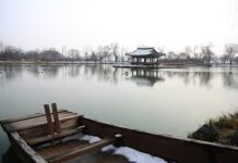 Czy jest dotacja na rolety zewnętrzne?