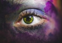 Jak rozpoznać maliny jednoroczne i dwuletnie?