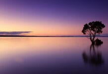 Czy wodę miedziana można gotować? Czy wodę miedziana można gotować?