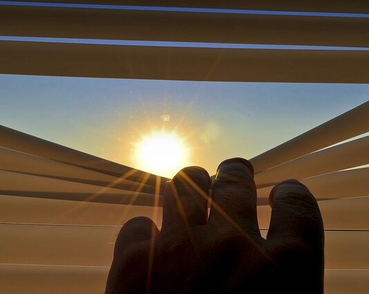 Ile kosztują rolety plisowane? Ile kosztują rolety plisowane?