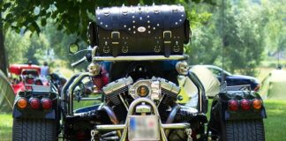 Jaki rozdrabniacz do iglaków?