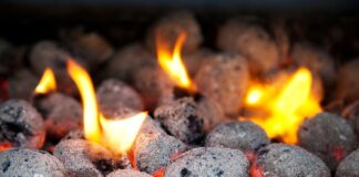 Czym się różni brykiet torfowy od brykietu drzewnego?